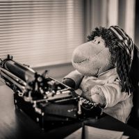 Portr&auml;t Schaf Paul, an einer historischen Schreibmaschine sitzend