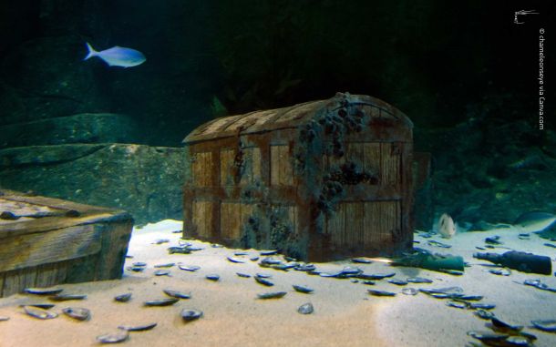 Schatzkiste voller Fähigkeiten und Erfahrungen: Die Schatzkiste befindet sich unter Wasser auf dem Meeresboden und hat einen geschlossenen Deckel. Verschiedene Fische und verstreute Muschelschalen runden die Szene ab. Symbolisch steht die geschlossene Kiste für die Schatzkiste der Fähigkeiten und Erfahrungen, die geöffnet werden soll.